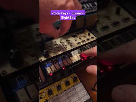 Volca Keys Lead & Choir