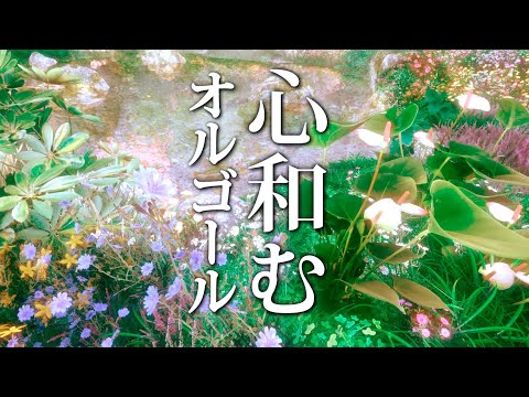 Relaxing Music Box - Calming Nostalgic Healing Music that Prepares the Autonomic Nerves