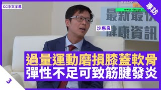 膝蓋軟骨磨損因過量運動 筋腱彈性不足致內側發炎 多熱身保持組織柔韌度 - 鄭丹瑞《健康旦》香港港安醫院骨科專科醫生 #沙惠良 Part 3 (CC中文字幕)