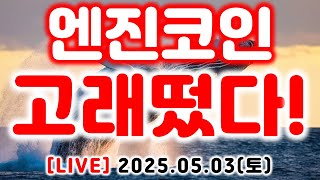 엔진코인, 드디어 고래떴다!