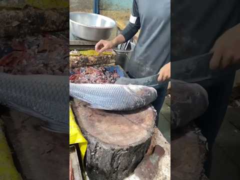Cut the fish from the last to the first.#fishcut #wedding #khadadupatta #pure #zardozi