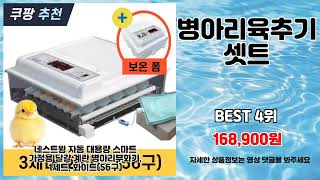 병아리육추기셋트 추천 | 오늘만 이 가격 놓치지 마세요 | 실시간 인기 리스트   | 필수 구매템