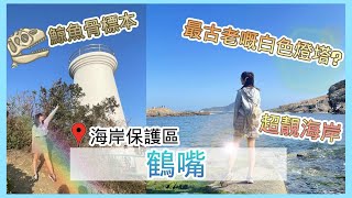【喪遊篇】超靚海岸 鶴嘴海岸保護區  香港最古老嘅白色燈塔? 發現鯨魚骨!! l 生活vlog