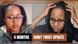 4 MONTH MINI KINKY TWIST UPDATE | MAINTENANCE TIPS | REFRESHED BRAIDS | DIY | HAIR CARE