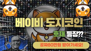 베이비도지코인 소각호재! 공짜80만원 받아가세요!