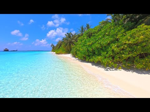 Tropical Bliss: Maldives & Ocean Waves. Ocean sounds for relaxation and sleep