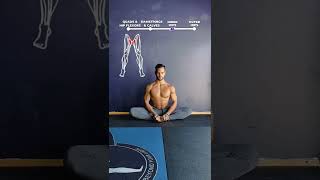 🪱Hip Mobility Flow!