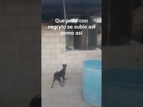 22 de marzo de 2024