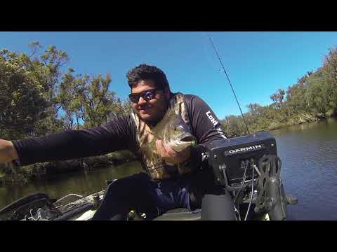 bream fishing