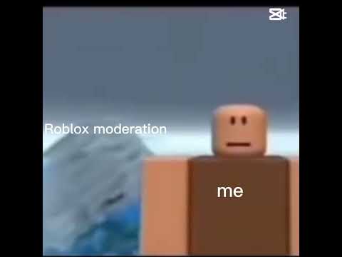 I hate Roblox moderation so much