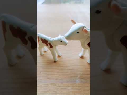 3 second song trend#funny #trendingshorts #viralshort #loop#cows