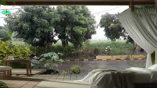 Realaxion with real rainsounds #deepsleepingasmr