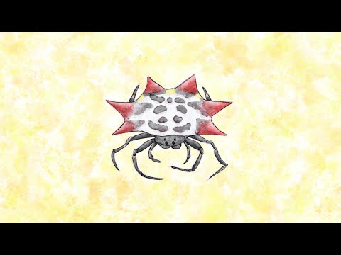music for bugs - spiny spider