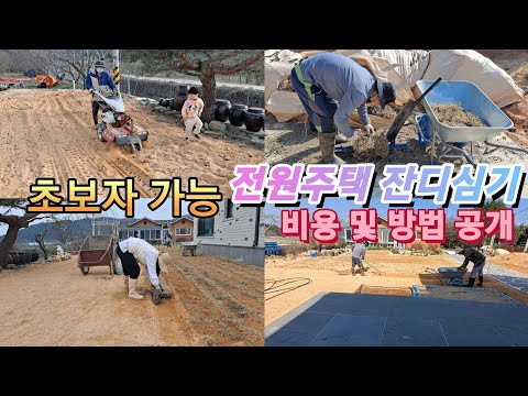 전원주택 조경 잔디심기 전 과정 초보자도 가능 저렴한 방법 및 비용 공개 #시골여자 #시골일상 #잔디심기