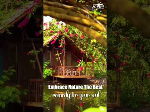Best nature's paradise in Pune!! #jalsrushtiluxuryislandresort