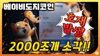 베이비도지코인 호재 발생! 2,000조개 소각! 【베이비도지코인 알아보기】