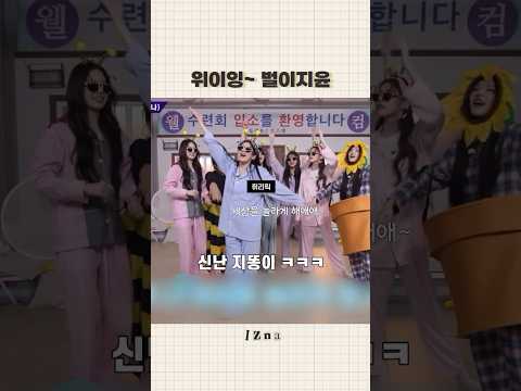 [Izna 이즈나] 지똥이 오늘도 신나따 ㅋㅋ 🐝🤍