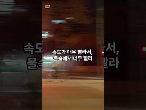 카푸치노 아사시노 로봇이 암살자라고?  #카푸치노아사시노 #이탈리아브레인 #AI캐릭터쇼츠 #부드러운암살자 #바리스타로봇 #SF쇼츠 #몬스터소개