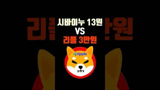 리플3만원 시바이누코인 13원 누가먼저 목표가 달성?!