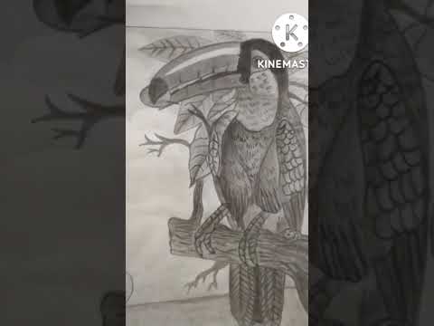 Bird sketch #shorts #pencilsketch #viral