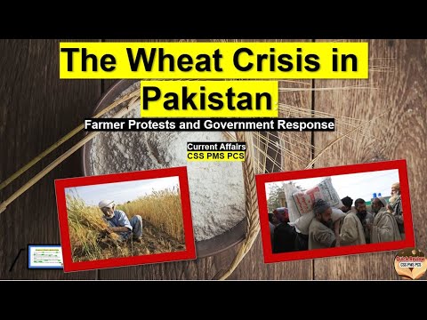 The Wheat Crisis in Pakistan: Farmer Protests and Government Response