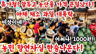 휴가철 앞두고 농산물 가격 큰일! 야채 채소 과일 대폭락! 농민 망연자실! 어쩌다 1,000원! 비상이네! #폭락 #휴가 #시장 #먹거리 #먹방 #쇼핑 #할인 #세일