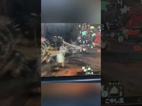 ク  ソ  デ  カ  オ オ カ ミ 2