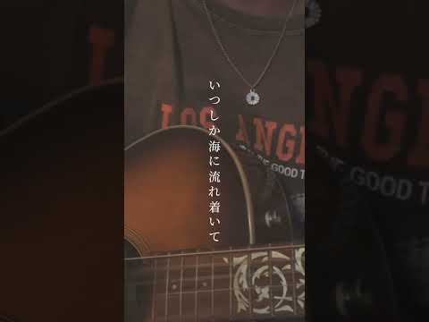 【弾き語り】水平線 / back number #backnumber #バックナンバー #水平線 #弾き語り #歌ってみた #cover