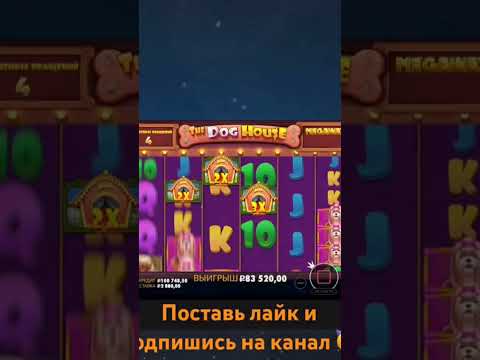 Мега занос в собак .The dog house megaways ! #melstroy #деньги #заносынедели #заносвказино #бустер