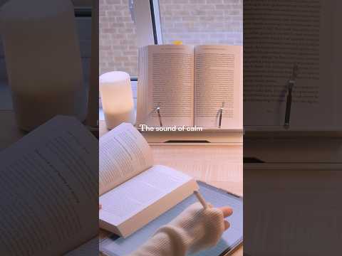 Study with me on a quiet snowy day 🌨️
