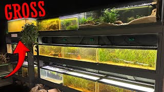 Fish Room Exposed! The Unfiltered Truth