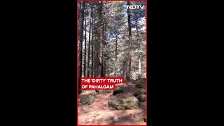 Pahalgam News | The 'Dirty' Truth Of Pahalgam: Inside One Of The 'Most Pristine' Areas Of Pahalgam