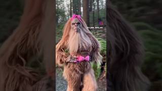 beautiful gorila 😂😂🦍#viralvideo #gorilla girl #shorts