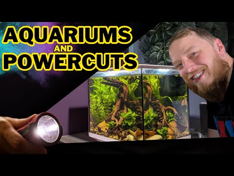 Worst thing for aquariums: POWERCUTS and how to deal with them.