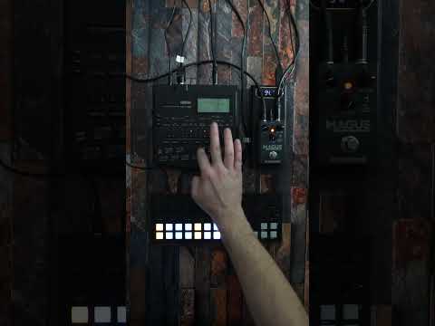 Enjoying Torso T-1 from  #torsoelectronics ⚙️⚡️ #electronicmusic #infektomorph #dawless
