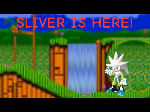 SLIVER IS HERE IN Sonic Speed Simulator!