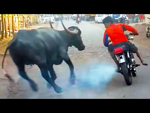 New Funny and Fail Videos 2023 😂 Cutest People Doing Funny Things 😺😍 Part 78