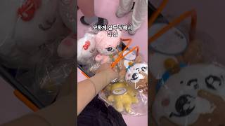아이돌 덕질 이렇게 하는거 맞나? 미니브 팝업스토어