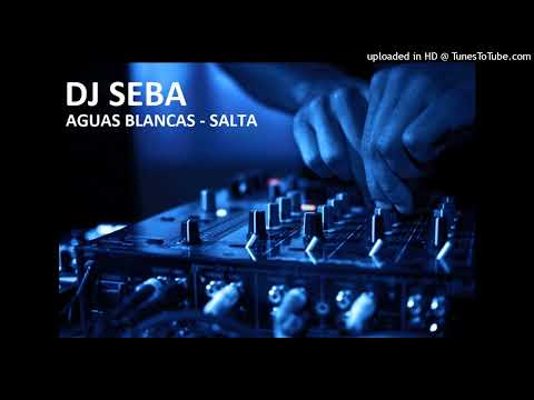 CHICHAS MIX 2024 - DJ SEBA