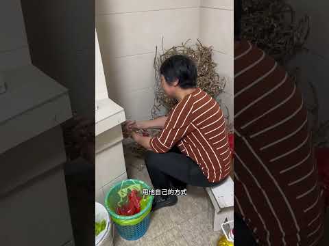 这个人就是父母非要我嫁的傻子老公 如今结婚七年了 可算知道他是什么人了 婚后日常 乡村生活 平平淡淡小日子