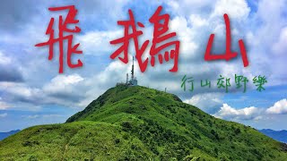 [行山路徑介紹系列EP14]行山：飛鵝山