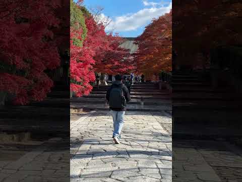 京都紅葉 真如堂 #紅葉 #京都紅葉 #日本紅葉 #真如堂