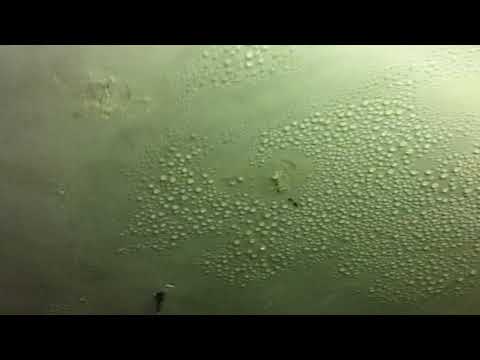 MARTIN FILLERY CANNABIS BUNKER RAINING INDOORS!