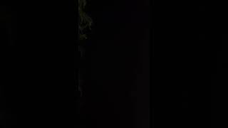 【ラブホテル】熟年カップル👩‍❤️‍💋‍👨　あ○ぎ声💕(その１８)【前編】激しいです。