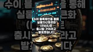 수이(SUI) 中 최대 핀테크 '앤트 그룹' 자회사와 맞손 (25년02월15일)