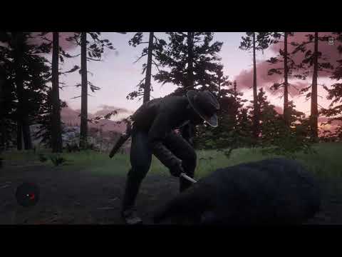 Red dead 2 multi hunting accident