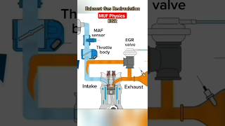 #physics #exhaust #gas#recirculation#physicshelp #physicsexperiments #connection #physicsonline