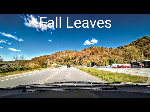 Fall Foliage Frenzy! Driving the French Broad River in Asheville, NC