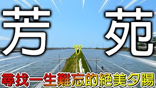 【冷門地區一日遊】海灘上有牛在載客人？吃蚵仔多到像免錢🤣然後居然有人說我都拍幹片！？【冠哥】