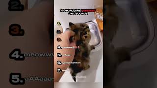 Ranking the Funniest Cat Sounds Part 4
